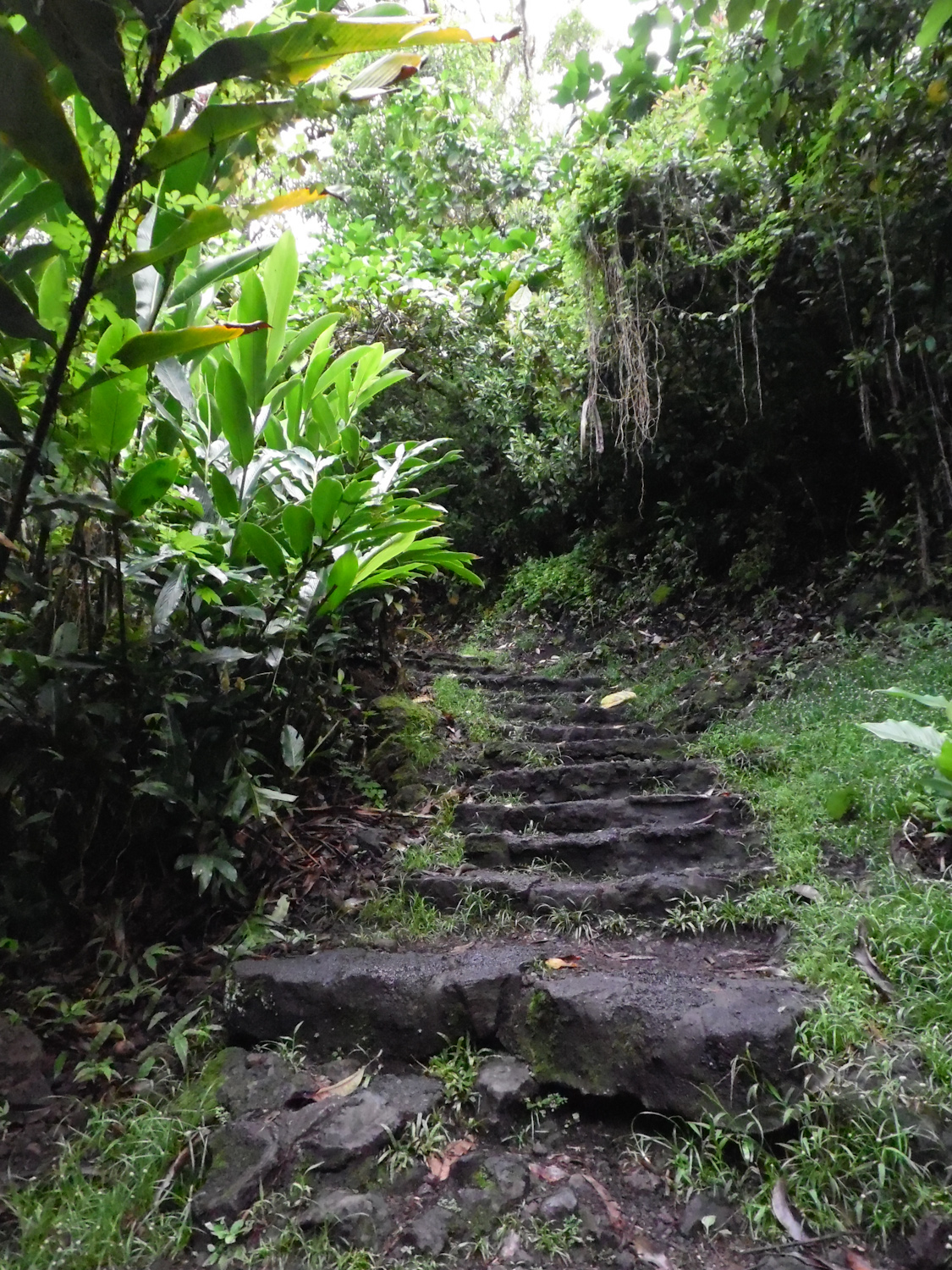 Steps up from Waianapanapa cave